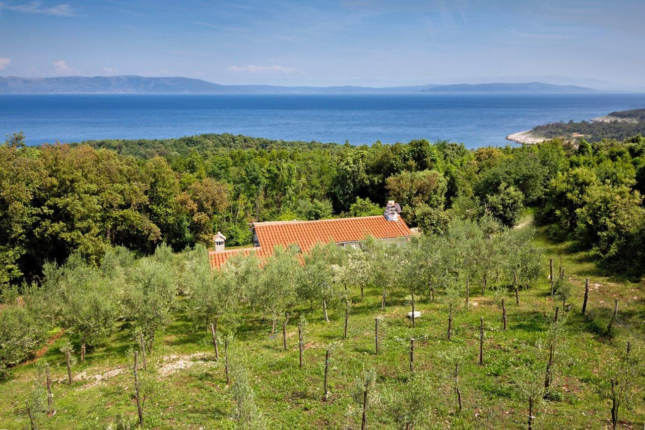 Roinizza In Prtlog Villa Labin  Eksteriør bilde